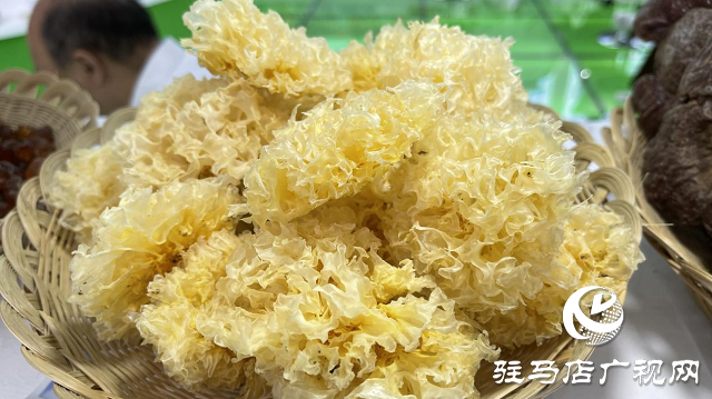 記者探會(huì)｜部長看的花菇是她種植的