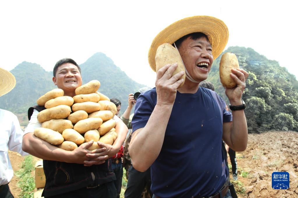 奮斗百年路 啟航新征程·黨旗在基層一線高高飄揚(yáng)丨“農(nóng)民院士”朱有勇：把論文寫(xiě)在大地上