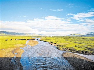 省內(nèi)黃河流域環(huán)境資源案件集中管轄一年 受理案件870件 發(fā)出司法建議37份