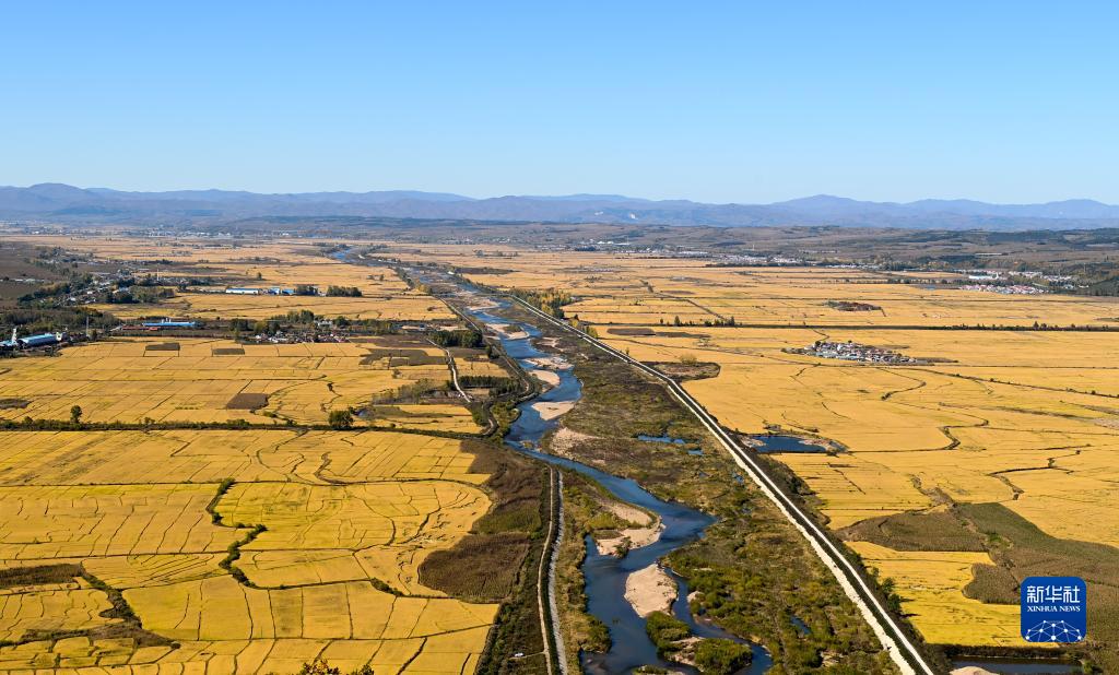 在希望的田野上—— “東北糧倉(cāng)”讓“中國(guó)飯碗”端得更牢