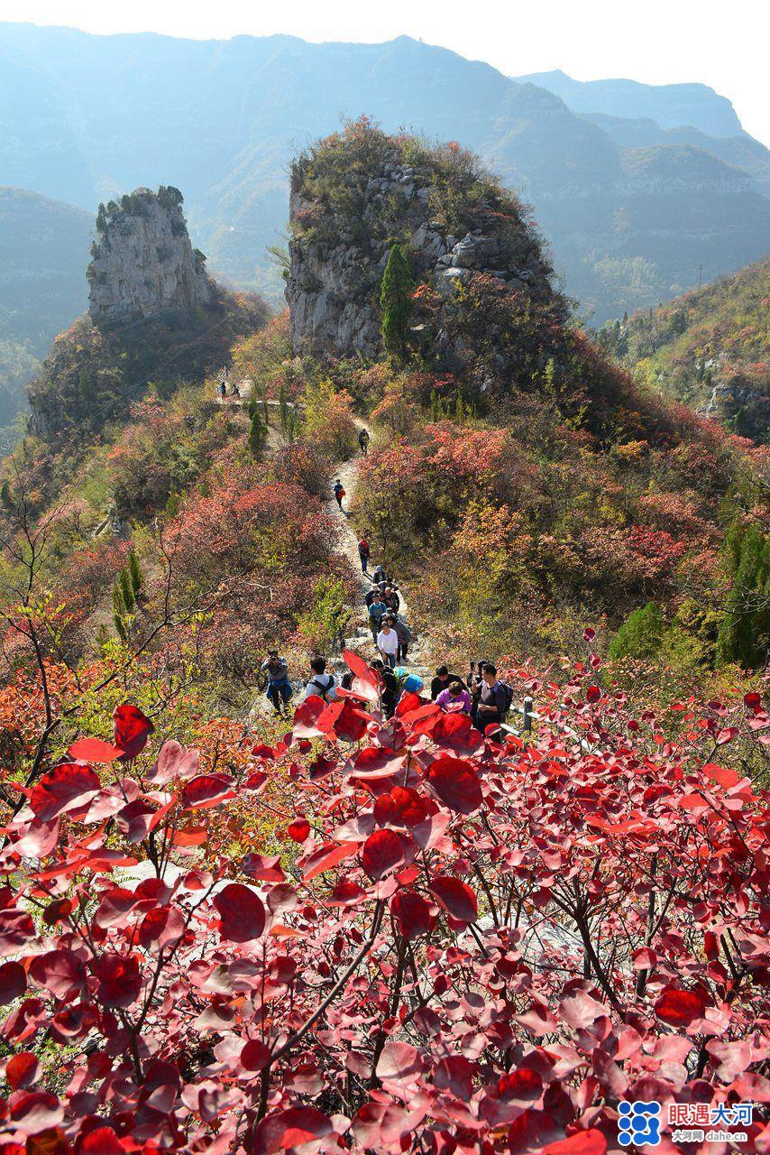 醉美紅葉秋染太行