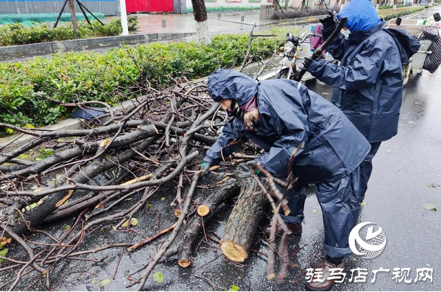 駐馬店市12345政務(wù)熱線快速響應(yīng) 及時(shí)處置市民訴求