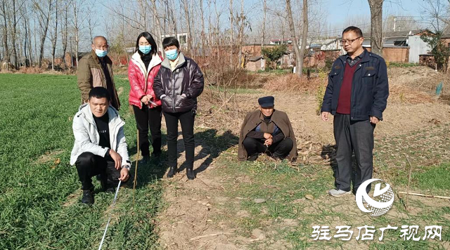 平輿縣玉皇廟鄉(xiāng)：成功調節(jié)田間道路通行受阻糾紛受稱贊