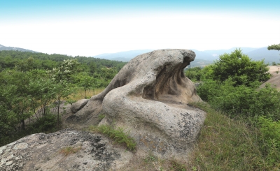 南陽發(fā)現(xiàn)遠(yuǎn)古文明大量遺址遺跡的歷史定位及其時代價值探析