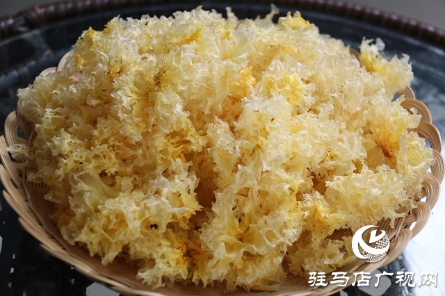 確山野生農(nóng)產(chǎn)品銷售大放奇彩