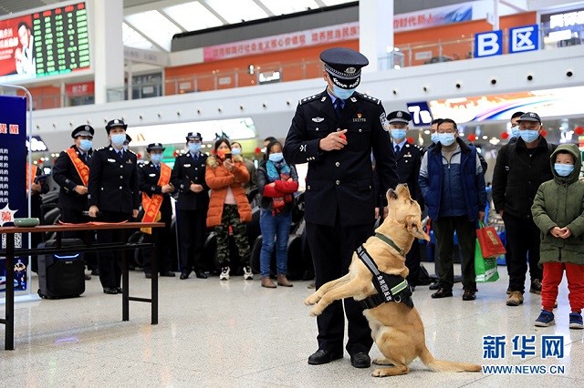 2022年春運|警犬變身“反詐推銷員”