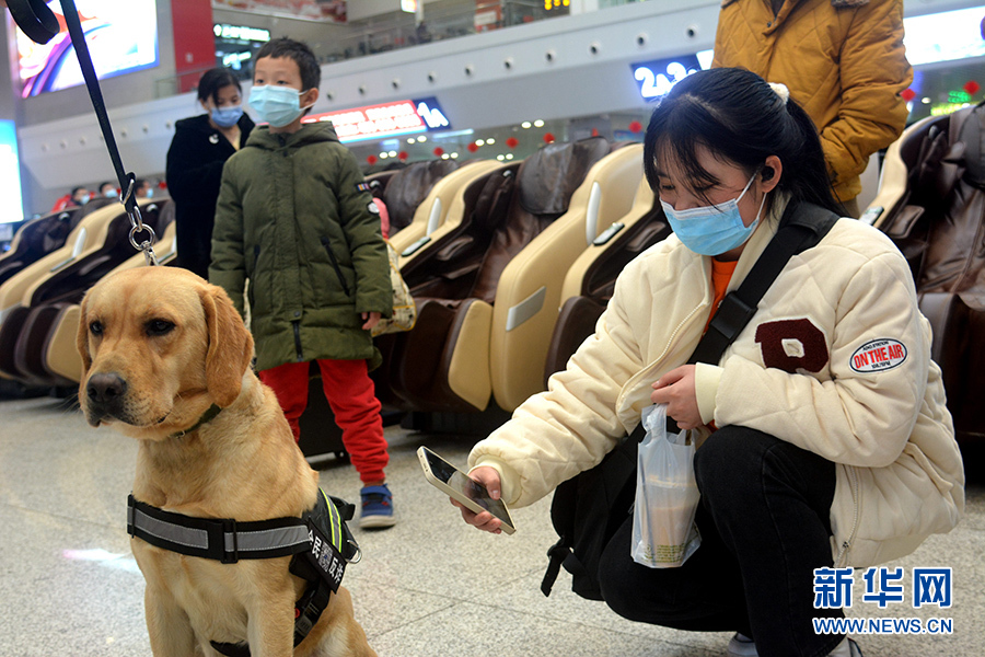 2022年春運|警犬變身“反詐推銷員”