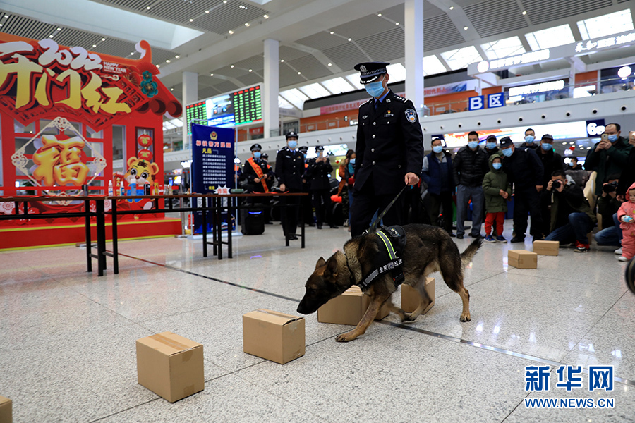 2022年春運|警犬變身“反詐推銷員”