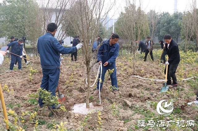 駐馬店弘康環(huán)保公司舉行植樹活動