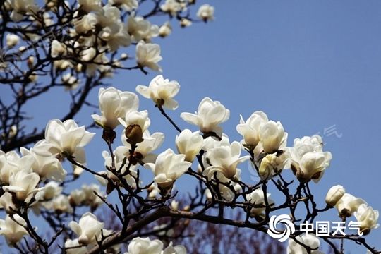 注意！冷空氣來了，部分地區(qū)降溫可達(dá)12℃以上