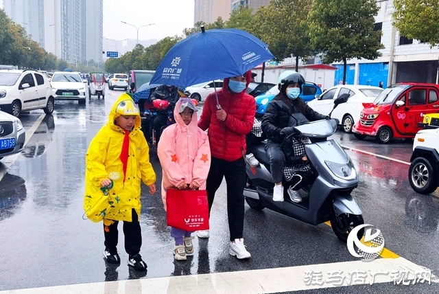 駐馬店市風(fēng)雨無心陣陣摧 落花繾綣款款來