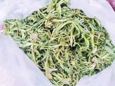 時令野菜走進超市 哪些新鮮野菜可嘗？快收好這份野菜食譜