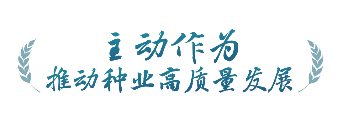 春事看農(nóng)桑丨播下好種子，豐收有底氣