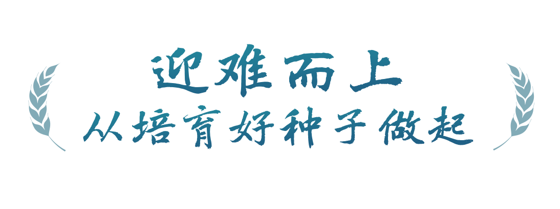 春事看農(nóng)桑丨播下好種子，豐收有底氣