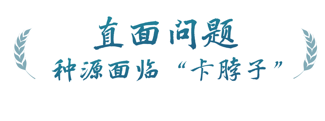 春事看農(nóng)桑丨播下好種子，豐收有底氣