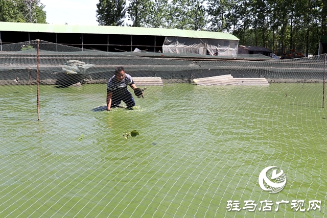 汝南縣板店鄉(xiāng)：水里撈出“金元寶”垃圾場(chǎng)變身“致富塘”