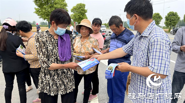  百農607火了！田間地頭掀起“觀摩搶購風”