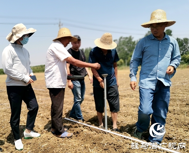 正陽：多部門聯(lián)合做好花生播種氣象保障服務