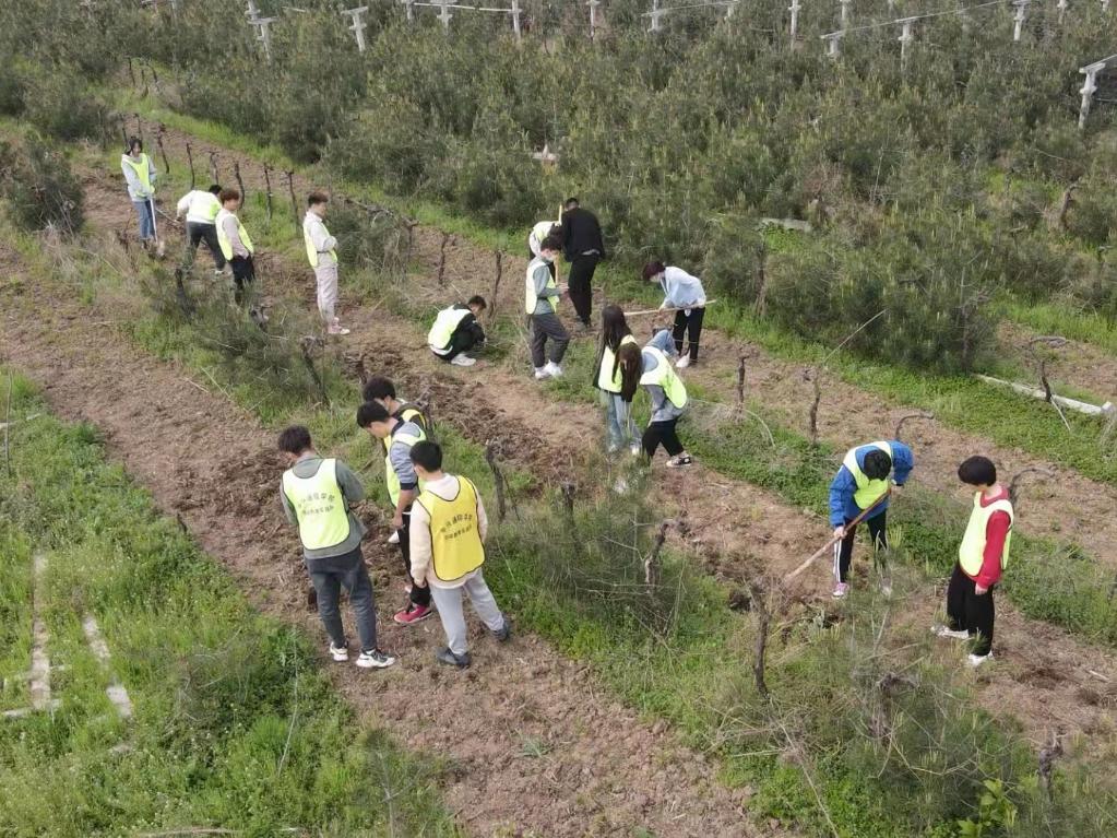 奮進(jìn)新征程 建功新時(shí)代·我們的新時(shí)代丨秦嶺腳下，“95后”新農(nóng)人播撒新希望