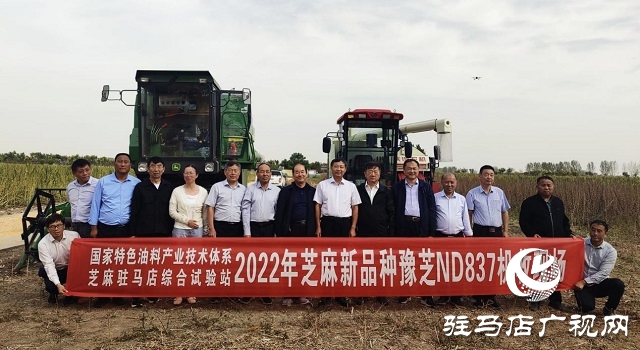 2022年芝麻機(jī)械化收割現(xiàn)場(chǎng)會(huì)在駐馬店成功召開(kāi)