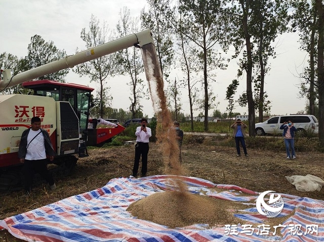 2022年芝麻機(jī)械化收割現(xiàn)場(chǎng)會(huì)在駐馬店成功召開(kāi)