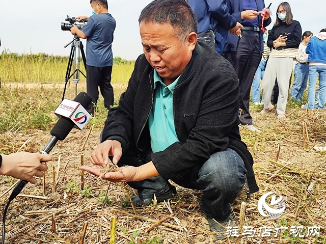 2022年芝麻機(jī)械化收割現(xiàn)場(chǎng)會(huì)在駐馬店成功召開(kāi)