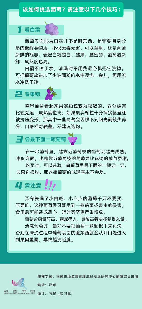 葡萄好吃還得會挑，這些小技巧快快收藏