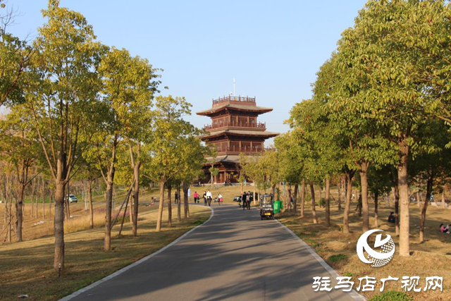 駐馬店市人民公園：初冬美景惹人陶醉