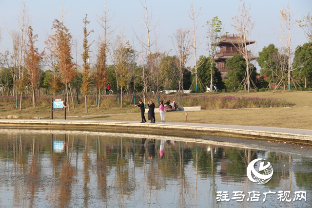 駐馬店市人民公園：初冬美景惹人陶醉