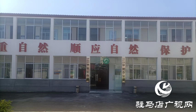 駐馬店：推進(jìn)標(biāo)準(zhǔn)化林業(yè)工作站 夯實(shí)基層林長(zhǎng)制基礎(chǔ)