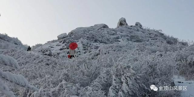 「金頂●冬雪」忽如一夜春風來，千樹萬樹梨花開