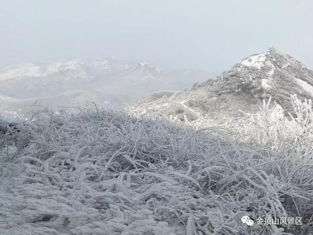 「金頂●冬雪」忽如一夜春風來，千樹萬樹梨花開