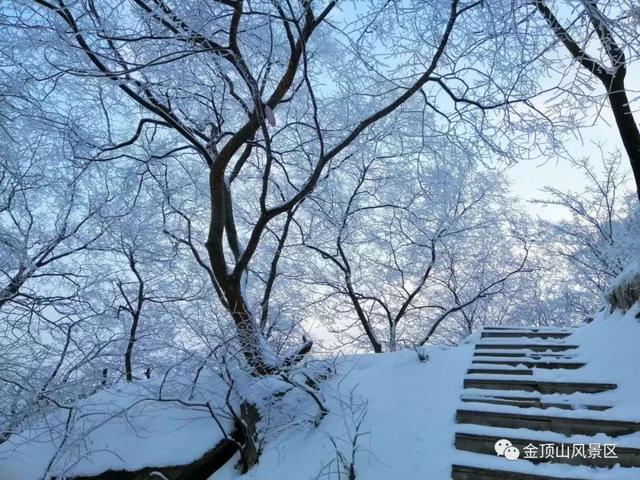 「金頂●冬雪」忽如一夜春風來，千樹萬樹梨花開