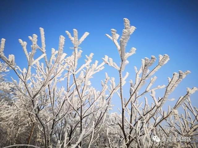 「金頂●冬雪」忽如一夜春風來，千樹萬樹梨花開