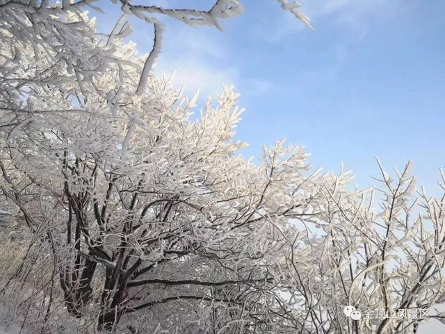 「金頂●冬雪」忽如一夜春風來，千樹萬樹梨花開