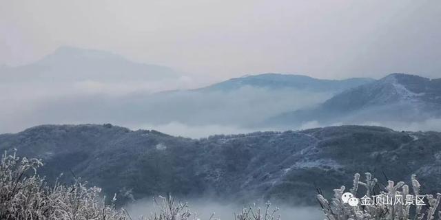 「金頂●冬雪」忽如一夜春風來，千樹萬樹梨花開