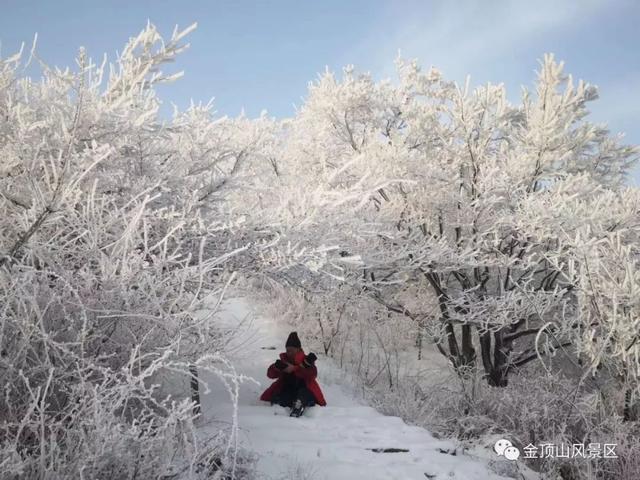 「金頂●冬雪」忽如一夜春風來，千樹萬樹梨花開