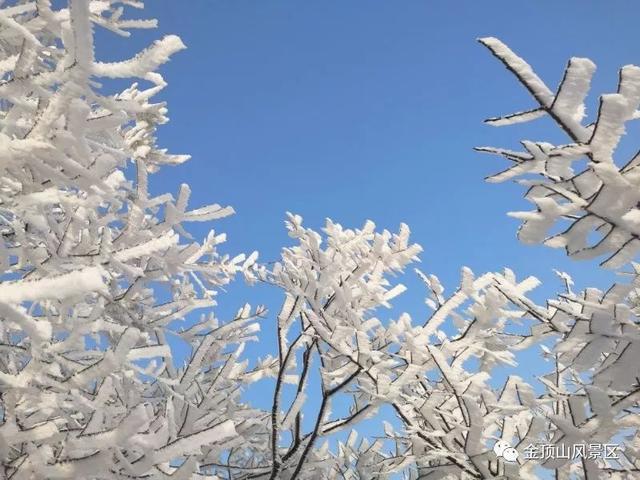 「金頂●冬雪」忽如一夜春風來，千樹萬樹梨花開