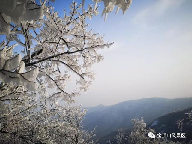 「金頂●冬雪」忽如一夜春風來，千樹萬樹梨花開