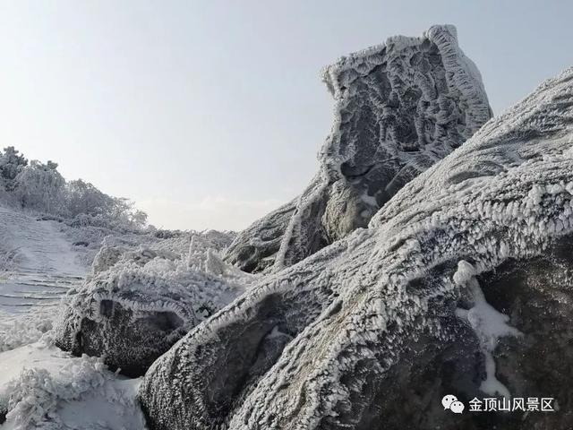 「金頂●冬雪」忽如一夜春風來，千樹萬樹梨花開