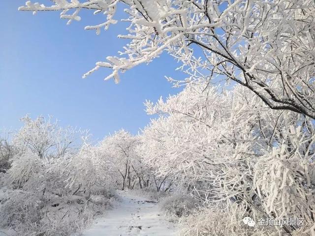 「金頂●冬雪」忽如一夜春風來，千樹萬樹梨花開