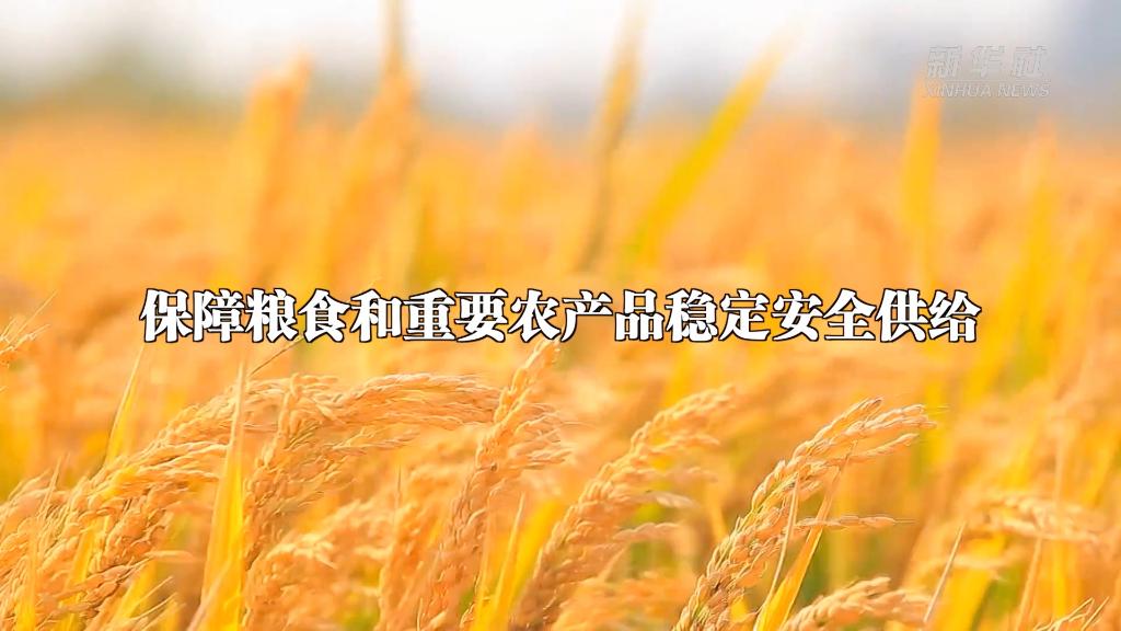 從中央農(nóng)村工作會議看2023年“三農(nóng)”工作這么干