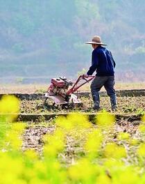 守護(hù)耕地，讓“希望的田野”春意盎然