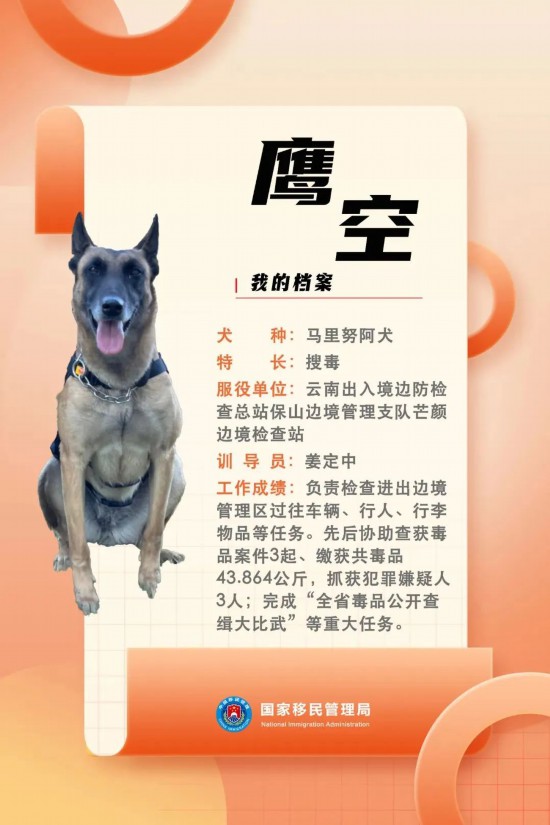 國家首批“功勛犬”，來了！