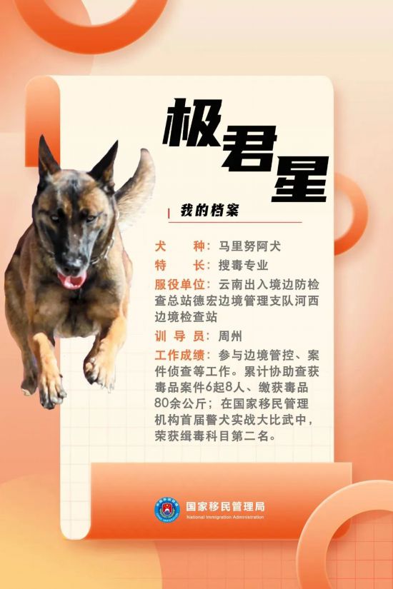 國家首批“功勛犬”，來了！