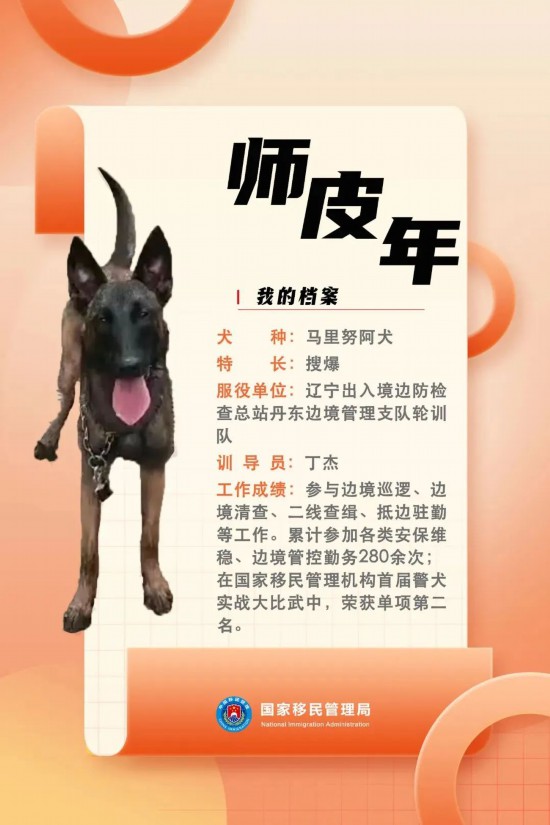 國家首批“功勛犬”，來了！