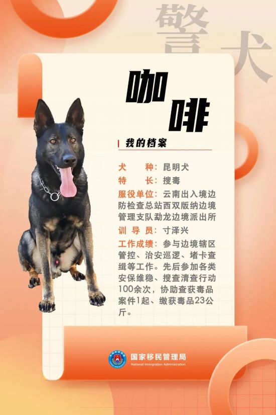 國家首批“功勛犬”，來了！