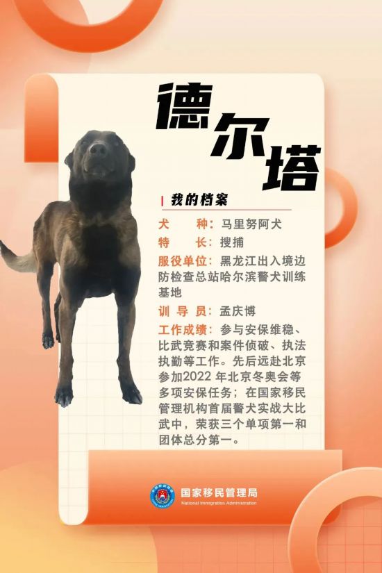 國家首批“功勛犬”，來了！