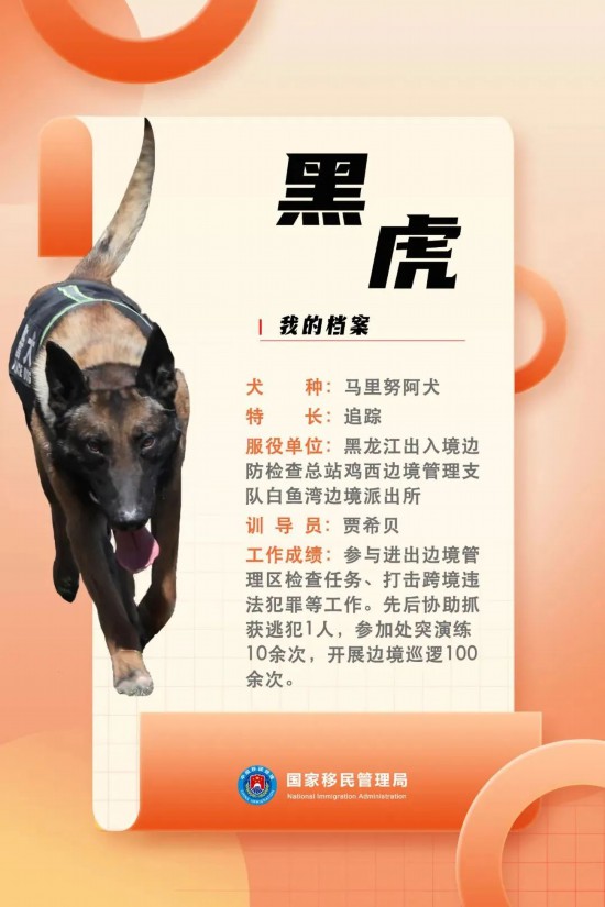 國家首批“功勛犬”，來了！