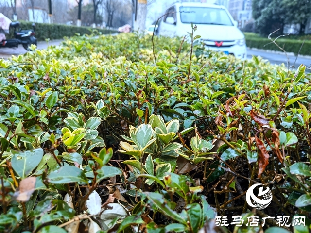 雨落天中 春意綻放